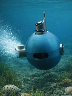 NEMO